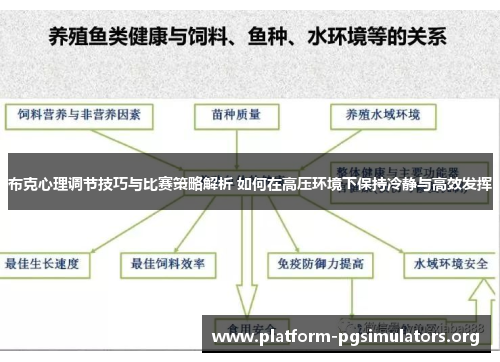 布克心理调节技巧与比赛策略解析 如何在高压环境下保持冷静与高效发挥