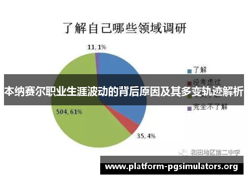 本纳赛尔职业生涯波动的背后原因及其多变轨迹解析