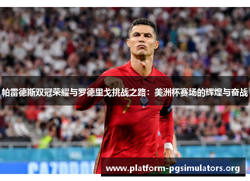 帕雷德斯双冠荣耀与罗德里戈挑战之路：美洲杯赛场的辉煌与奋战