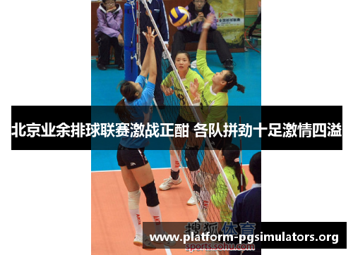 北京业余排球联赛激战正酣 各队拼劲十足激情四溢