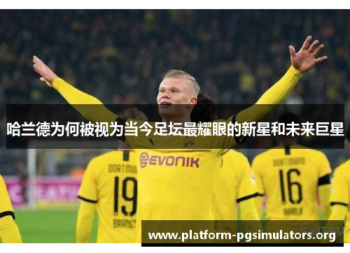 哈兰德为何被视为当今足坛最耀眼的新星和未来巨星