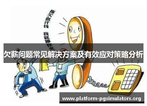 欠薪问题常见解决方案及有效应对策略分析