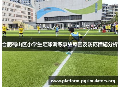 合肥蜀山区小学生足球训练事故原因及防范措施分析