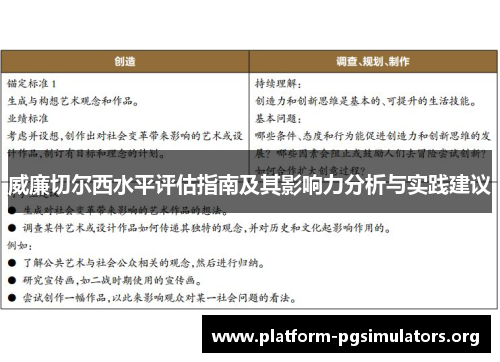 威廉切尔西水平评估指南及其影响力分析与实践建议