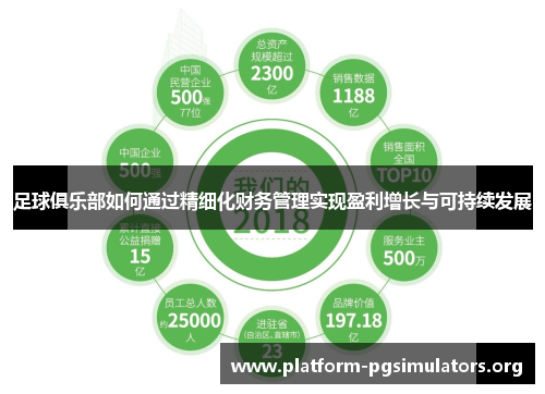 足球俱乐部如何通过精细化财务管理实现盈利增长与可持续发展