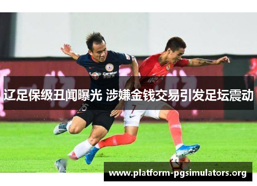 辽足保级丑闻曝光 涉嫌金钱交易引发足坛震动