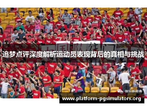 追梦点评深度解析运动员表现背后的真相与挑战