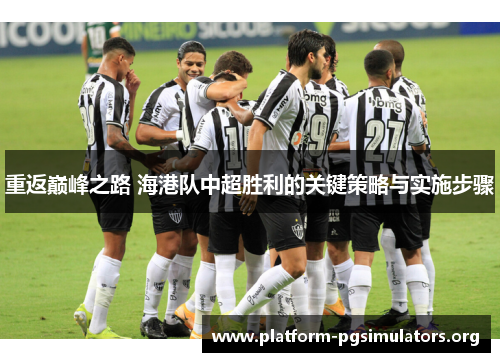 重返巅峰之路 海港队中超胜利的关键策略与实施步骤 重返巅峰之路 海港队中超胜利的关键策略与实施步骤
