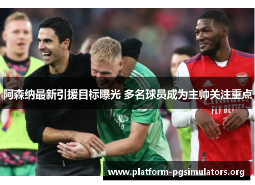 阿森纳最新引援目标曝光 多名球员成为主帅关注重点 阿森纳最新引援目标曝光 多名球员成为主帅关注重点