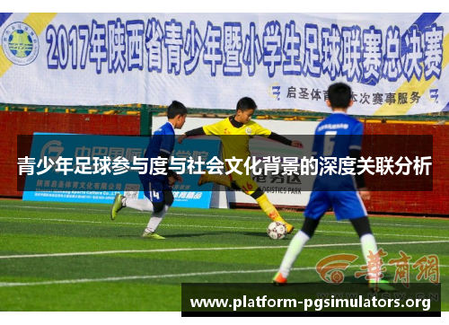青少年足球参与度与社会文化背景的深度关联分析