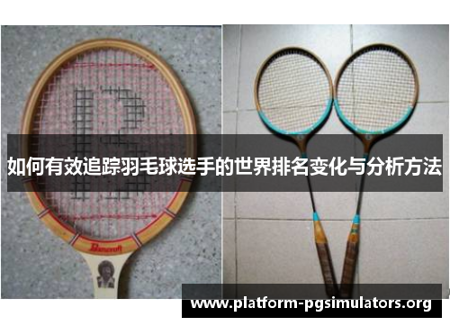 如何有效追踪羽毛球选手的世界排名变化与分析方法