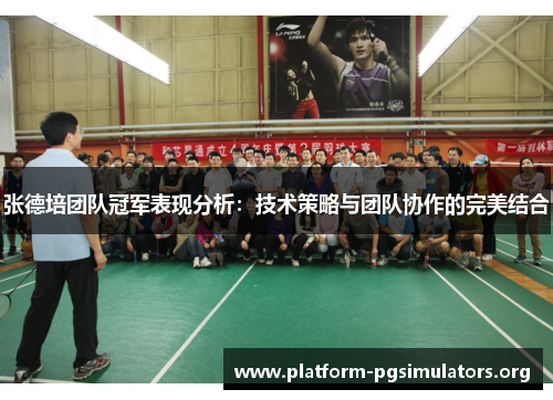 张德培团队冠军表现分析：技术策略与团队协作的完美结合